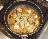 厚揚げともやしの中華炒め作り方6写真