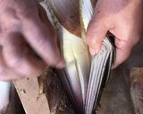 たけのこの剥き方 茹で方作り方1写真