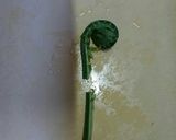 箸がとまらない！こごみの味噌天ぷら作り方2写真