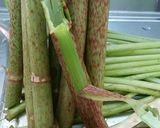 田舎の味♡イタドリの油炒め♫　作り方1写真