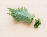 鯛の昆布蒸し作り方3写真