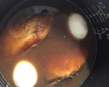 【煮崩れない】生姜が香る煮込みブリ切り身作り方3写真