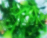手間加えた用に見えるほうれん草のごま和え作り方5写真