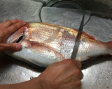 刺身より旨い！ 簡単 鯛の昆布締め作り方1写真