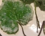 山菜 天ぷら 簡単作り方4写真