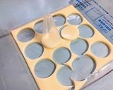 超簡単でちょっとかわいい水玉のり弁作り方2写真