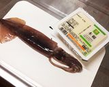 簡単！イカと豆腐の麺つゆ煮作り方1写真
