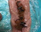 ササミの梅塩昆布巻きグリル焼き作り方1写真