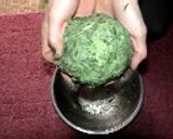 はじめてのよもぎ餅作り方8写真