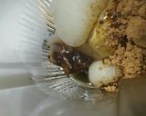 玉ねぎ赤&黒&白のジャム♪作り方7写真