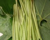 山ふきの煮物作り方1写真