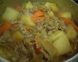 しょうが風味の豚肉じゃが♪作り方4写真