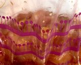 鶏胸肉とゴーヤ&パプリカの牡蠣油炒め作り方1写真