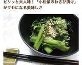 ♪小松菜のわさび漬け♪作り方5写真