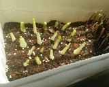 一文字ぐるぐる作り方13写真