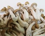 根菜たっぷりもっちりすいとん作り方4写真