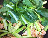 小松菜が旨い！豆腐の牡蠣油炒め。作り方12写真