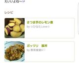ガッツリ豚丼作り方14写真