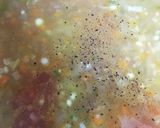 家族が大好き★ミートソーススパゲティ♪作り方5写真