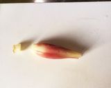 簡単！みょうがのおつまみ作り方1写真