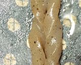 主菜並！ゴロゴロ筍と鶏肉の煮物作り方3写真