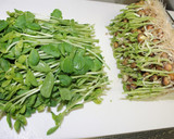 ちょーうま簡単！豆苗豚巻き！作り方1写真