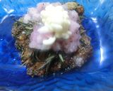 バジルのパン粉 バター焼き 鮭サバなど作り方22写真