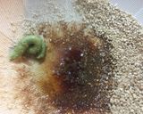 こごみと鯛の胡麻よごし作り方2写真