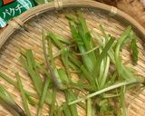 パクチーの根入りキンピラ牛蒡作り方1写真