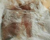香ばし〜鰤のムニエル♡粒マスソース♪作り方2写真