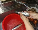 いわしのおろし方作り方5写真