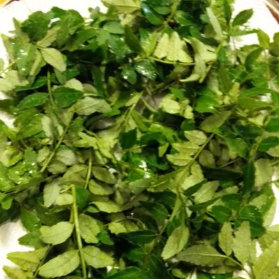 山椒の葉で粉山椒（レンジ使用）♪ by phoenixSP 【クックパッド
