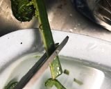 簡単。こごみのおひたし 麺つゆで作り方1写真