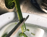 簡単。こごみのおひたし 麺つゆで作り方1写真