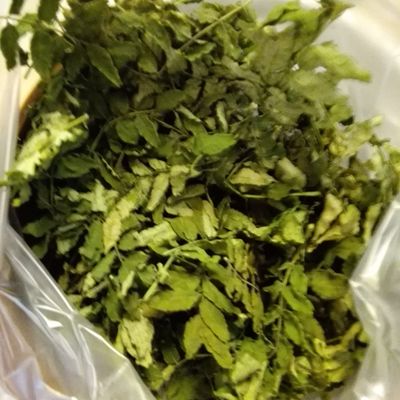山椒の葉で粉山椒（レンジ使用）♪ by phoenixSP 【クックパッド