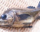 メバルのピリ辛味噌煮込み作り方18写真