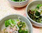 新玉ねぎとめかぶサラダ作り方5写真