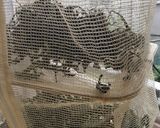 たんぽぽ茶作り方4写真