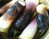 堀りたてタケノコのアク抜き&佃煮作り方2写真