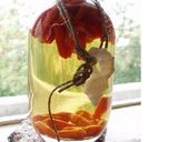 簡単　手作り沖縄タコライス作り方7写真