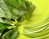 ヤチブキの茹で方。作り方2写真