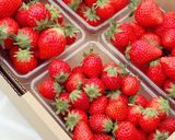 甘すぎない♪わが家のいちごジャム作り方7写真