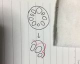 お食い初め☆100日のお祝いに作り方6写真