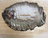 春の味覚！わかめ入りアワビ飯作り方5写真