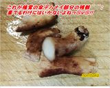椎茸の芯で萌やしちゃん炒め♡インゲンも♪作り方2写真