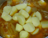 簡単☆節約♪豆腐と じゃが芋もやしの煮物作り方5写真