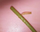 ふきと鶏肉のすりゴマ炒め作り方4写真