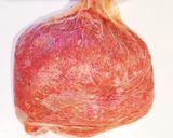 お弁当に簡単*味付き肉団子作り方1写真