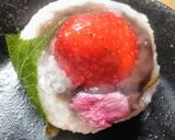 竹の子の押しずし作り方19写真