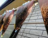 竹皮の作り方作り方8写真
